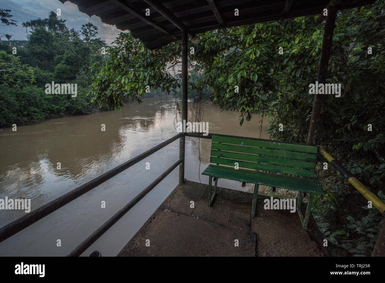 Eine Plattform mit Blick auf den Fluss Tiputini in den Amazonas Dschungel Ecuadors, eine der wildesten Orte auf der Erde. In Yasuni Nationalpark. Stockfoto