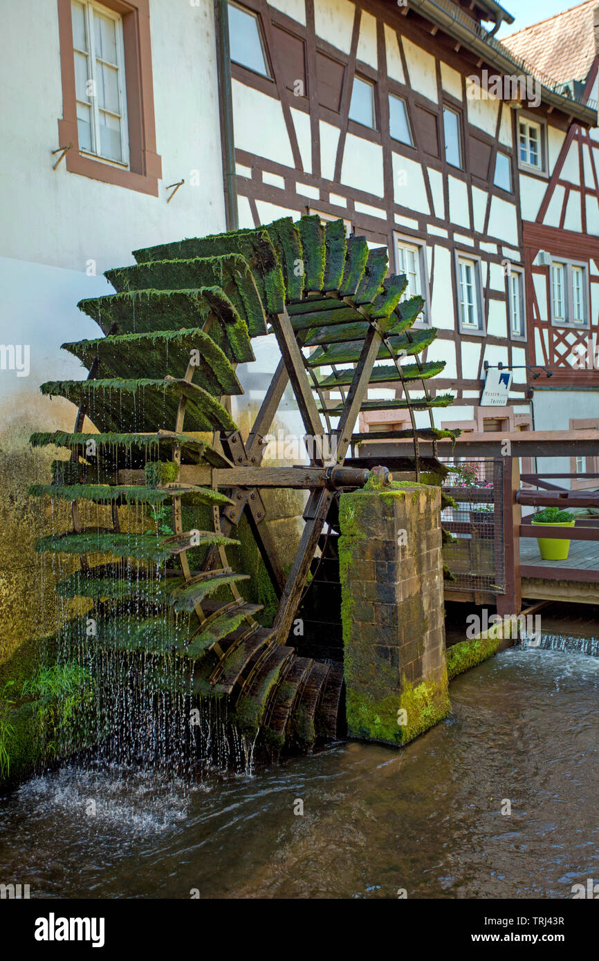 Historische Wassermühle an der Queich stream, Altstadt von Annweiler am Trifels, Rheinland-Pfalz, Deutschland Stockfoto