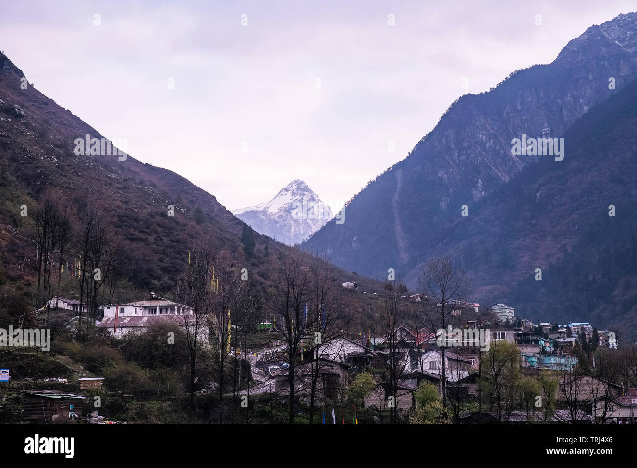 Lachung, Dorf, am frühen Morgen, Szene, schneebedeckten, Youngtham Peak, Sikkim, Indien. Stockfoto