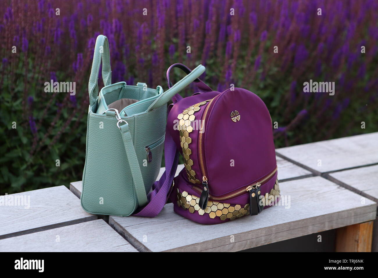 Zwei stilvolle Frauen Taschen auf dem Hintergrund von Salbei Stockfoto