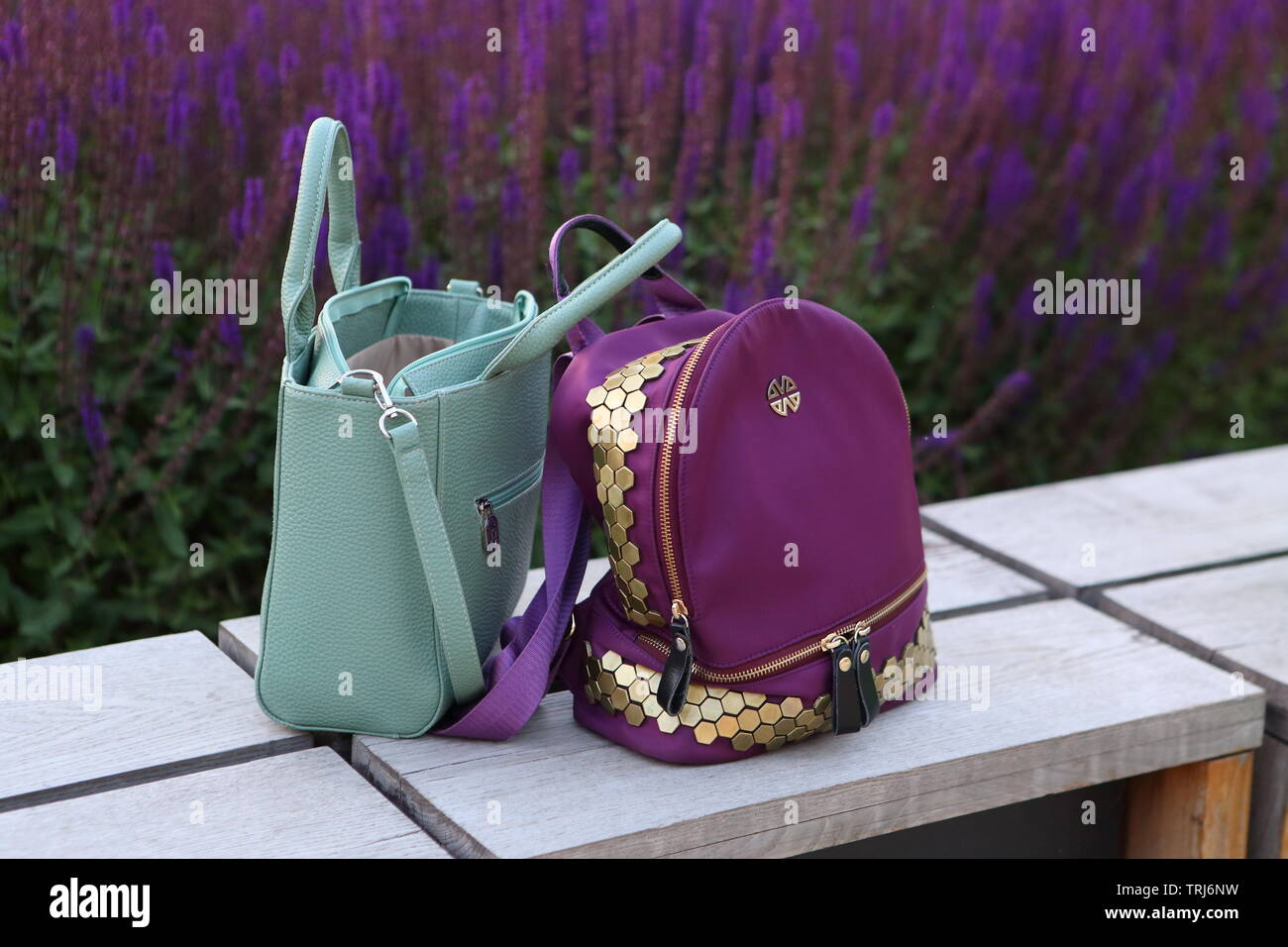 Zwei stilvolle Frauen Taschen auf dem Hintergrund von Salbei Stockfoto