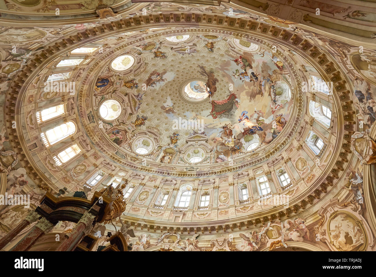 Vicoforte, Italien, 17. August 2016: Wallfahrtskirche von Vicoforte elliptische barocken Kuppel mit Fresken und Dekorationen in Piemont, Italien Stockfoto