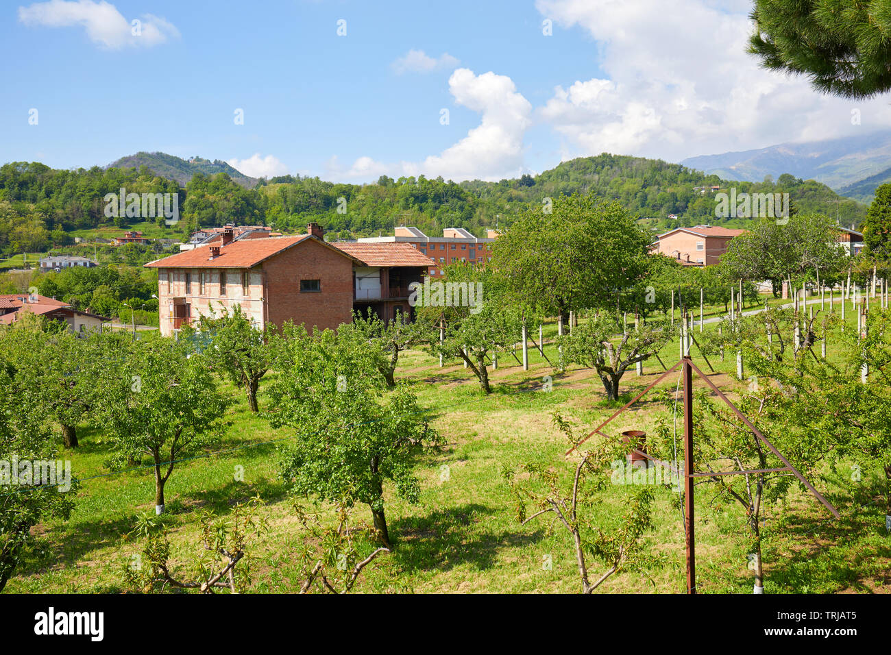 Obstgarten und roten Ziegeln ländliche Haus in sonniger Sommertag, Italien Stockfoto