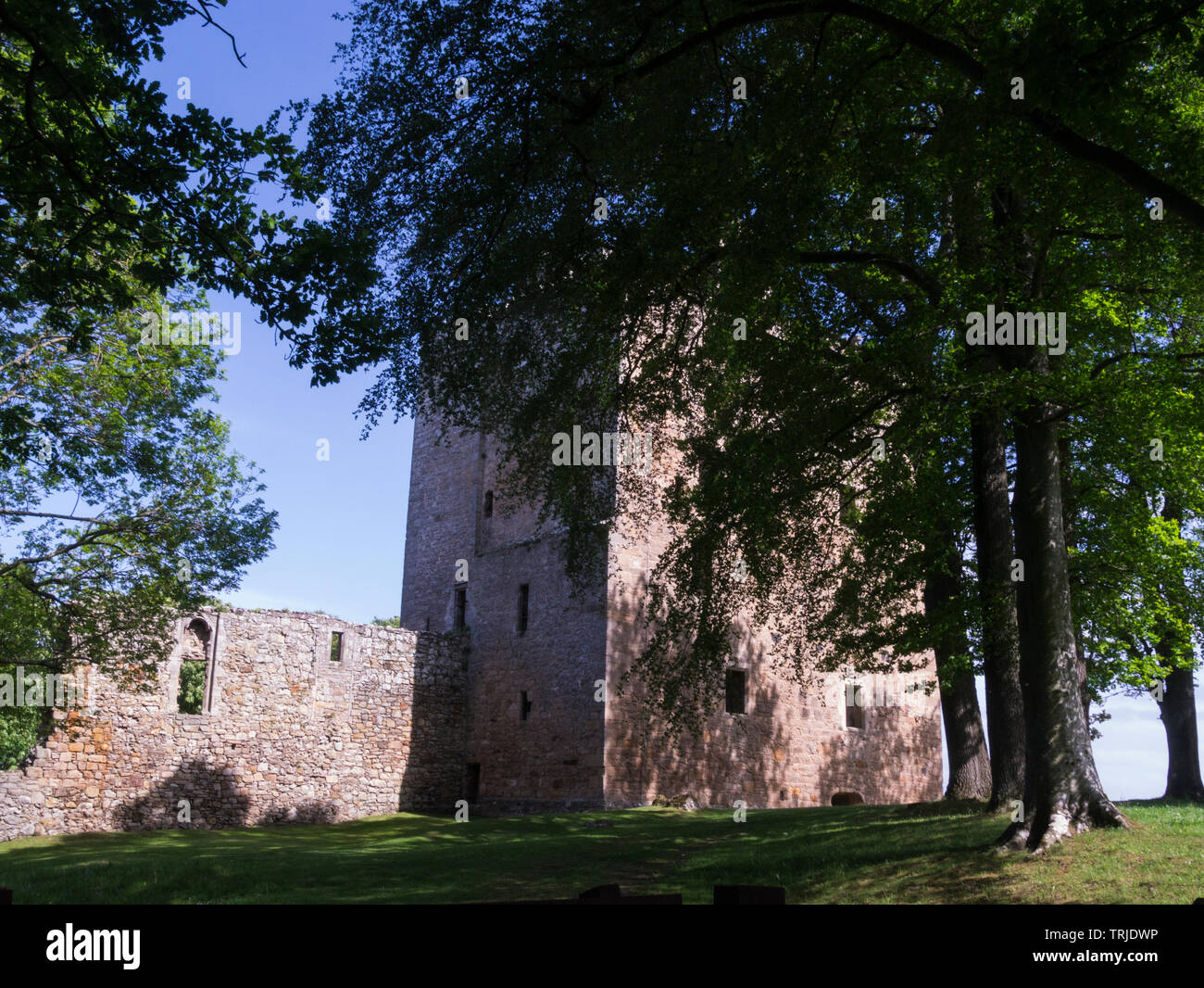 Ruinen von Spynie Castle frühere Heimat der Bischöfe von Moray Speyside nördlichen schottischen Highlands besucht von Königinnen und Königen, die das Gebäude als gue verwendet Stockfoto