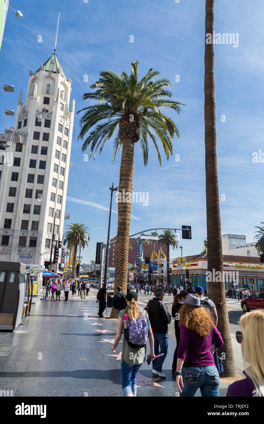 Hollywood Walk of Fame, Hollywood, Kalifornien, Vereinigte Staaten von Amerika Stockfoto