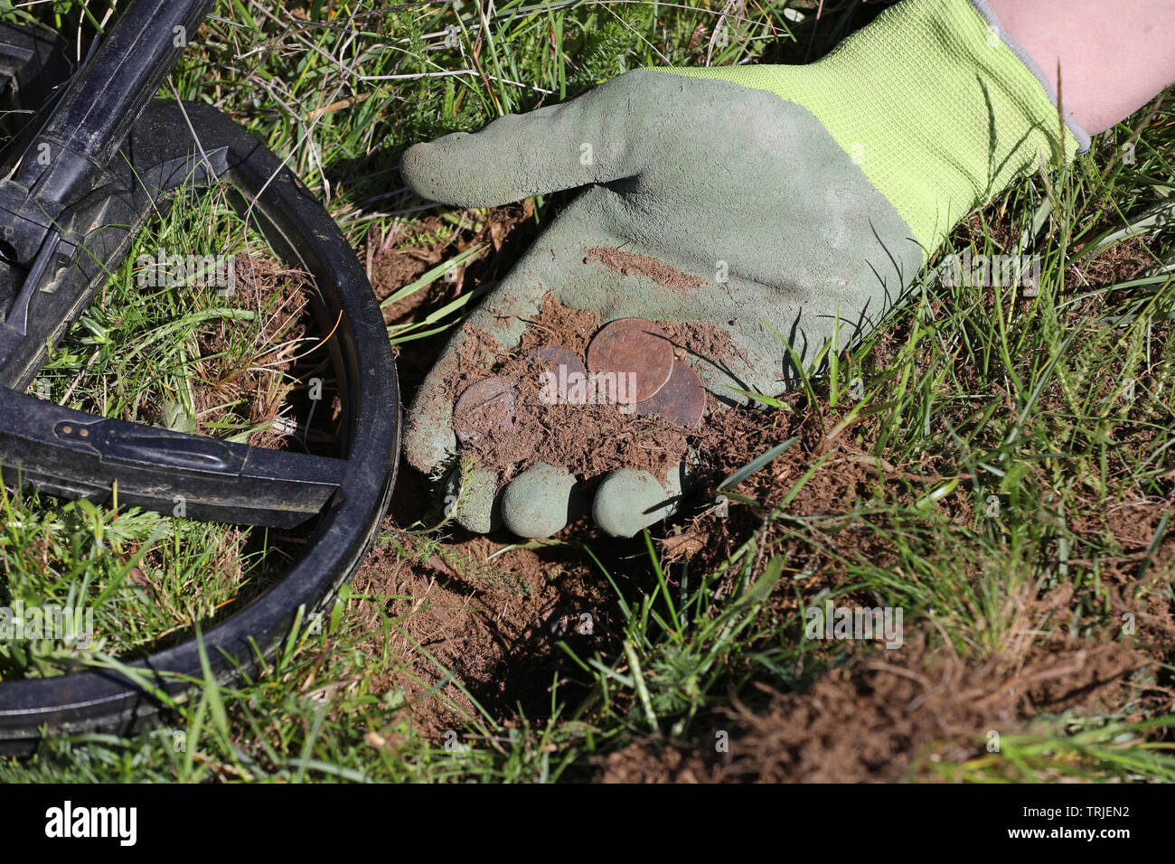 Ein Mann mit antiken Münzen in der Hand mit Metalldetektor finden Stockfoto