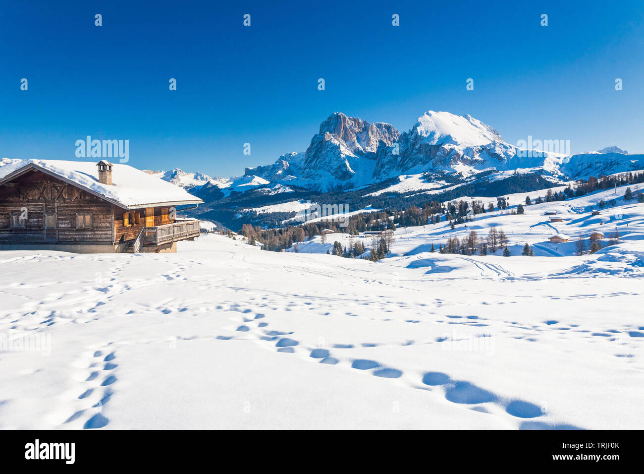 Plattkofel und Langkofel von snowy Hütten von Seiser Alm, Dolomiten, Südtirol, Italien Stockfoto