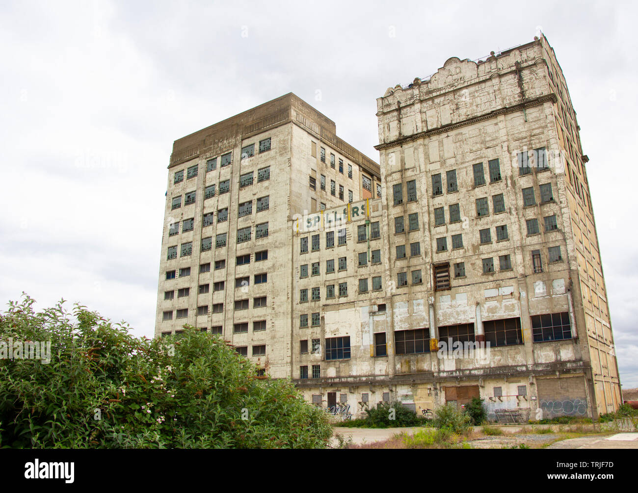 Millennium Mühlen in Silvertown, London Stockfoto