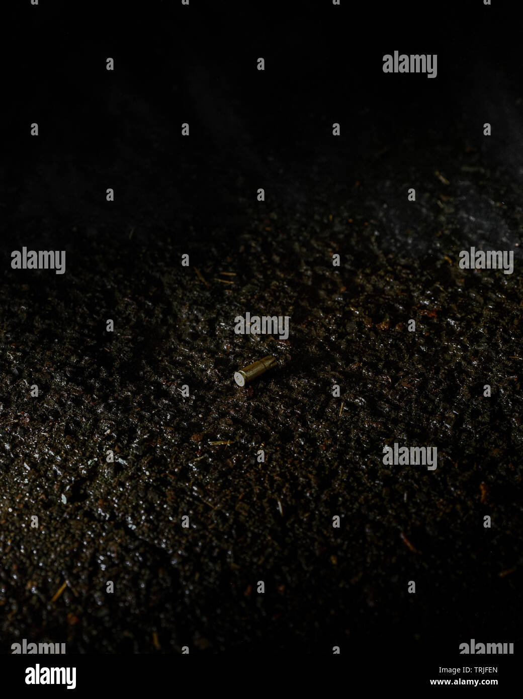 Verworfen Bullet Gehäuse Stockfoto