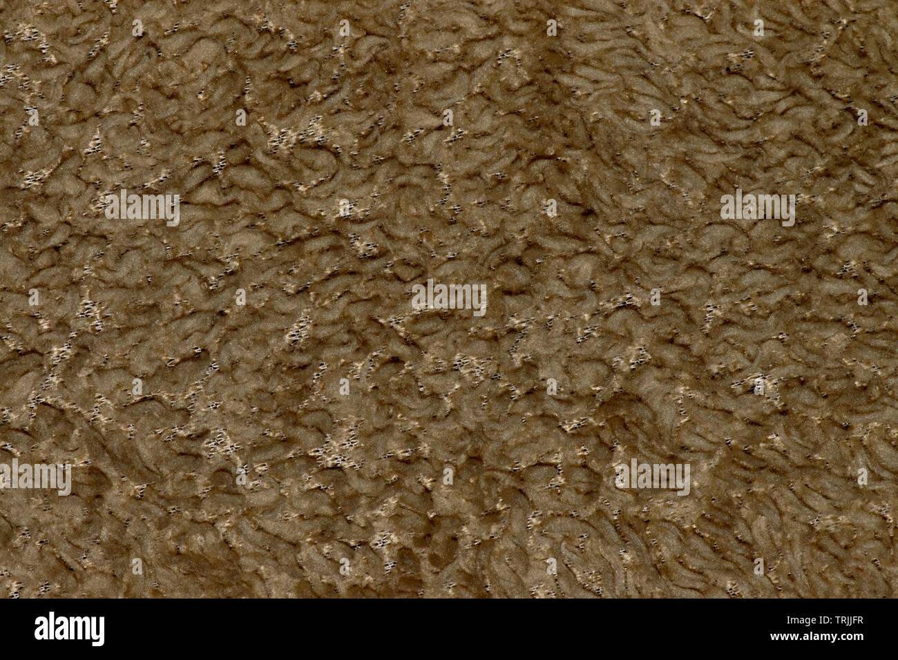 Die tan farbigen Wollfutter einer Jacke Winter, Hervorhebung der groben Texturen und Muster. Stockfoto