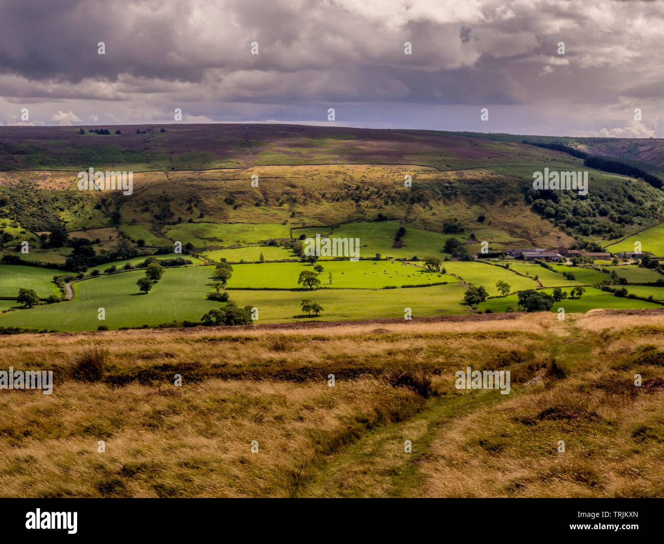 Blick nach Süden über Mauren aus glaisdale Rigg, North Yorkshire Moors, UK. Stockfoto
