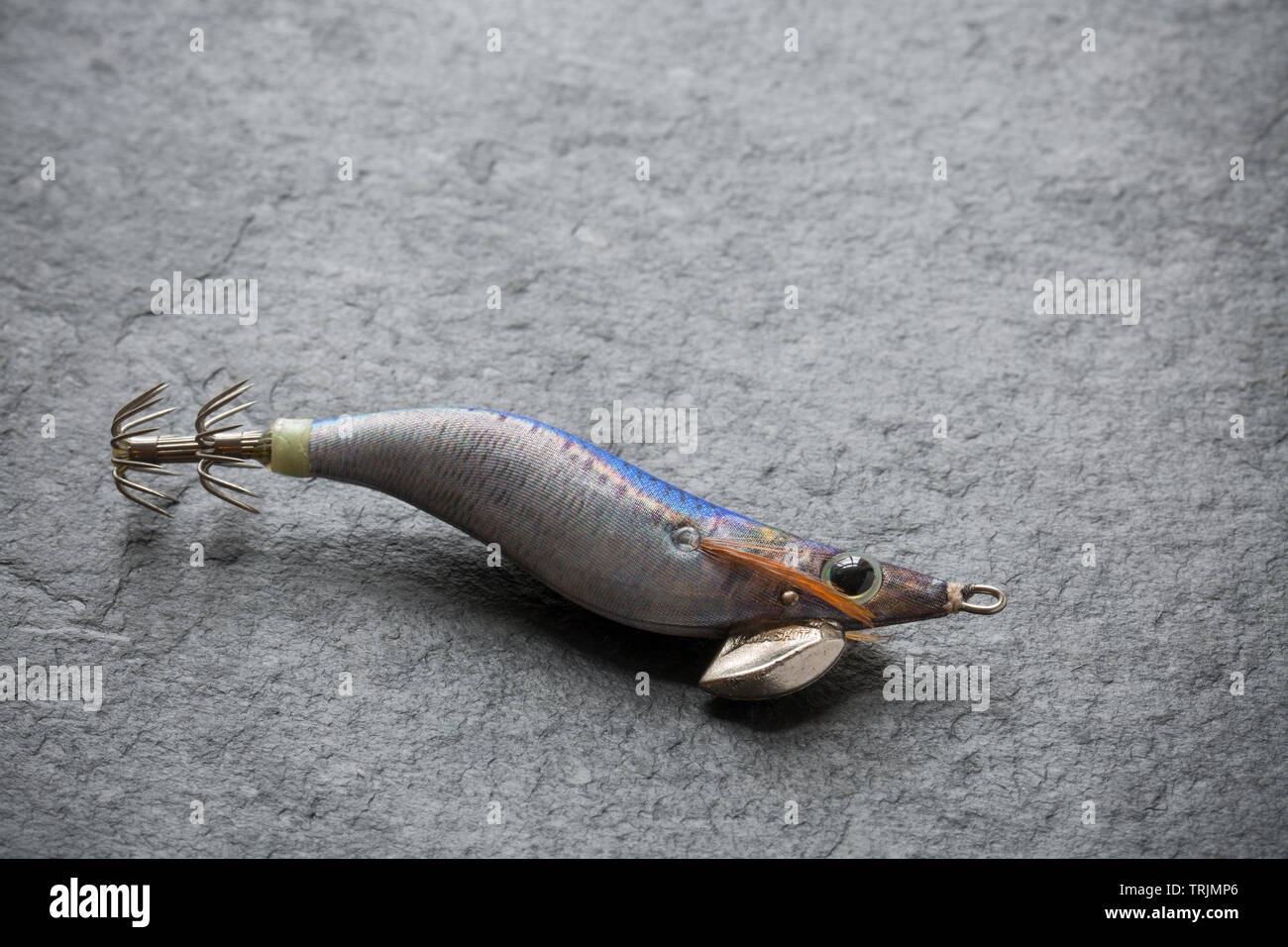 Ein Yamashita squid Jig, oder Locken. Squid Angeln populär in Großbritannien sowohl für kommerzielle Fischer sowie freizeitangler geworden. Die lures Ar Stockfoto