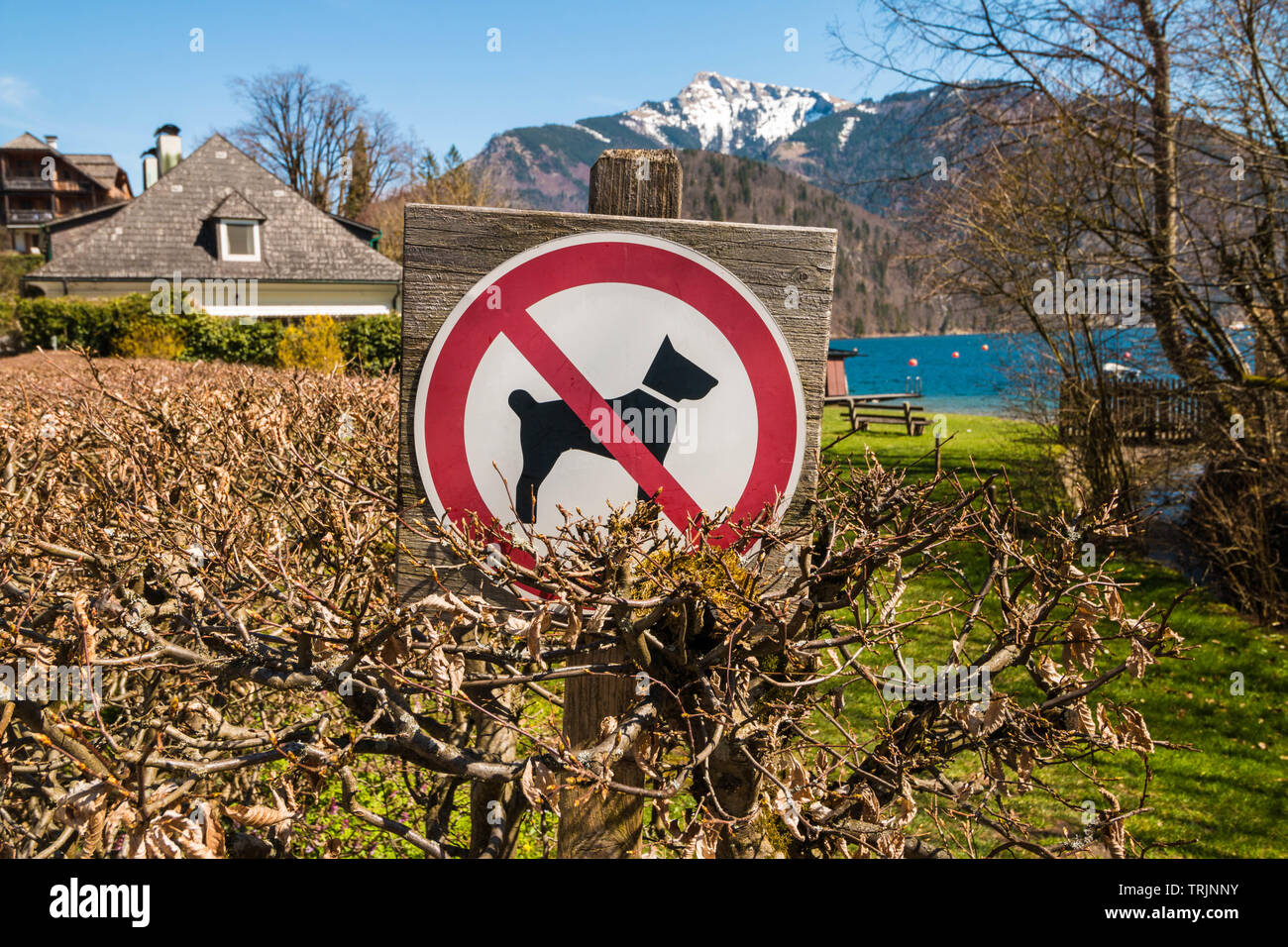 Anmelden Hunde sind nicht in der Nähe der Einfahrt zum Strand von Bergsee erlaubt. Haustiere nicht erlaubt. Stockfoto
