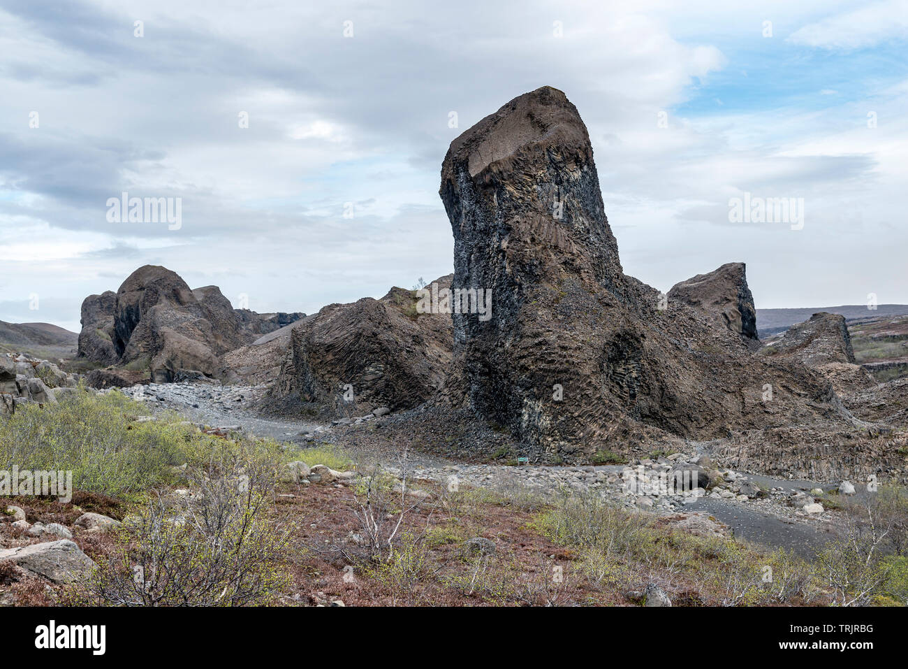 Tröllið (der Troll), ein vulkanischer Abgrund bei Hljóðaklettar (Echo Felsen), außergewöhnliche Basaltgesteinsformationen in der Jökulsárgljúfur Schlucht im Nordosten Islands Stockfoto