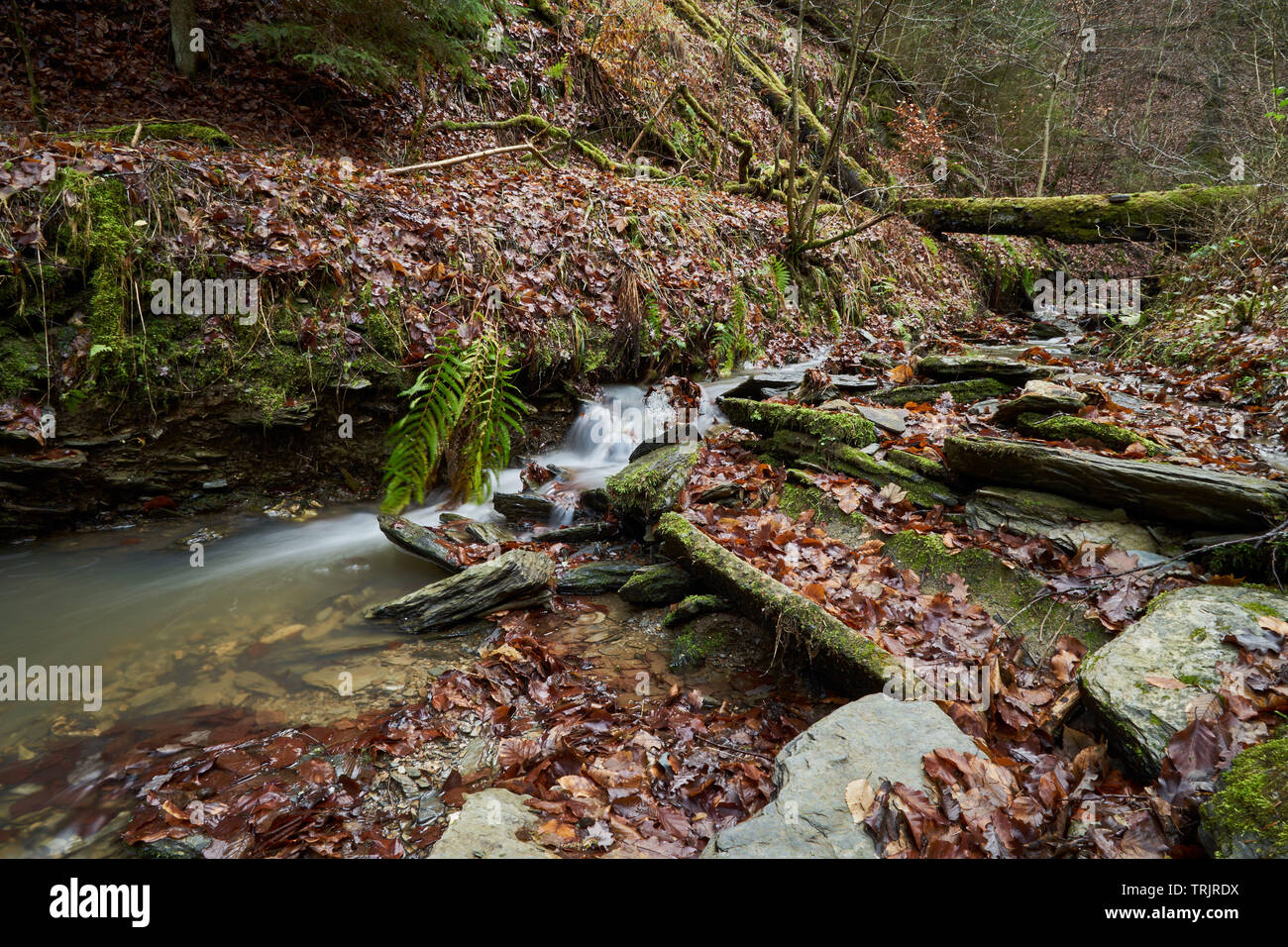 Hessen Bach - Langzeitbelichtung - Wandertour Stockfoto