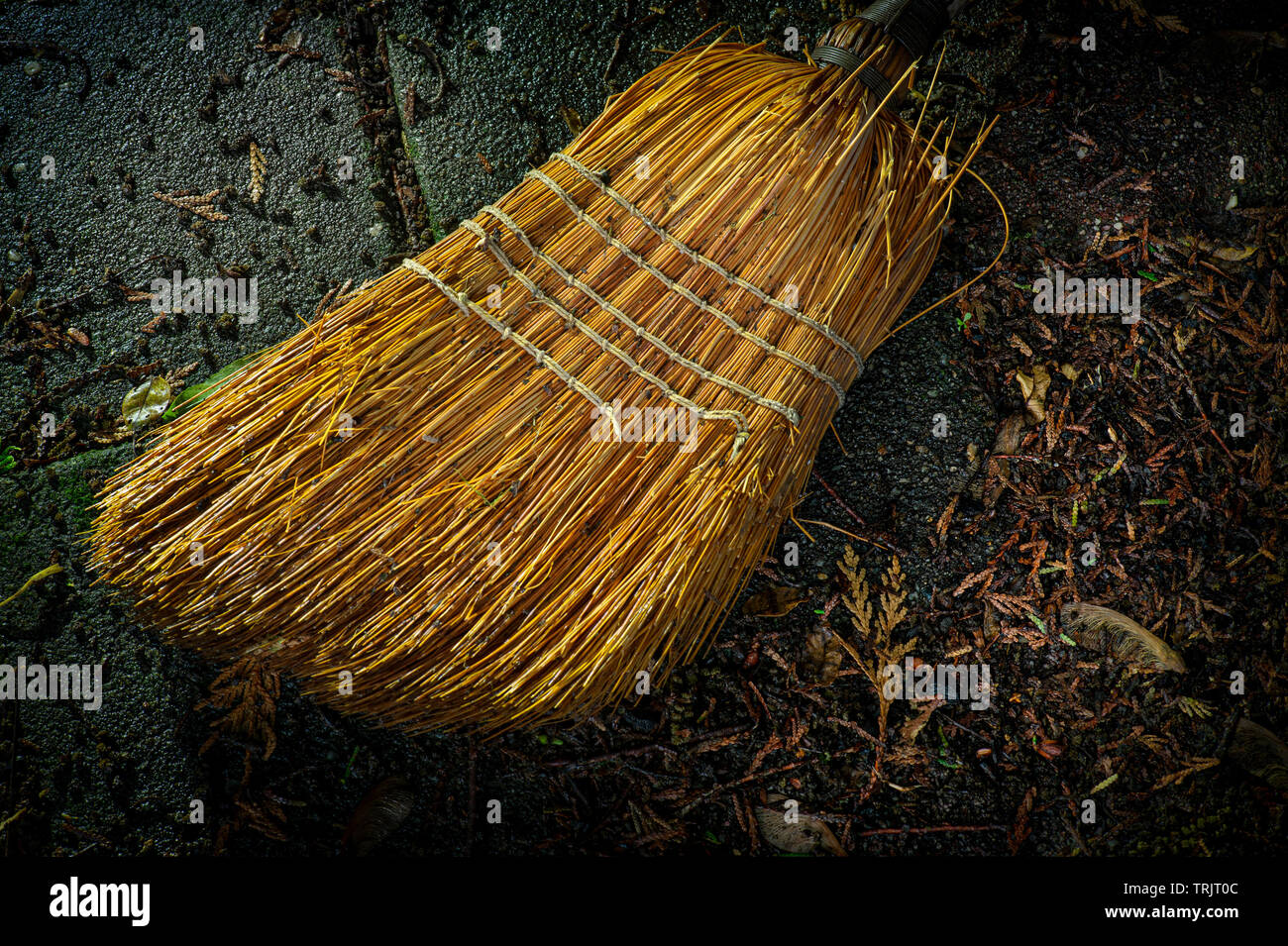 Alte alter Besen Detail Stockfoto