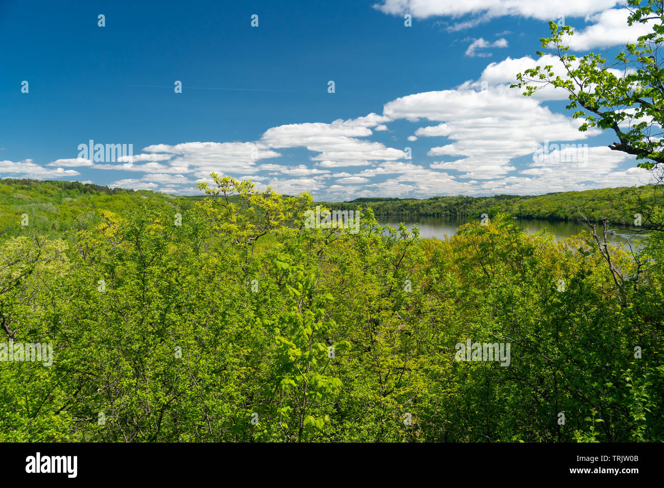 Der St. Croix River von Afton State Park, Minnesota im Frühjahr mit grünen grünes Laub und blauer Himmel. Stockfoto