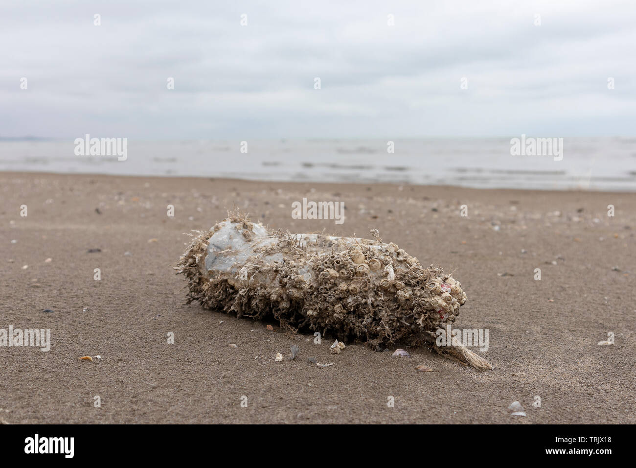 Alte Plastikflasche am Strand Stockfoto