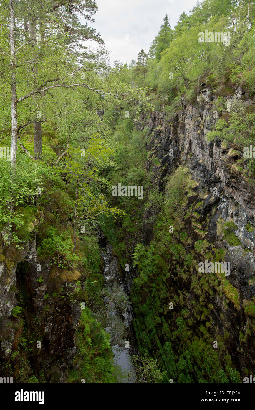 Corrieshalloch Gorge, eine beliebte Touristenattraktion, mit Fluss unten in der Tiefe riss mit Wäldern in der Nähe von Ullapool in Schottland gesäumt fließende Stockfoto