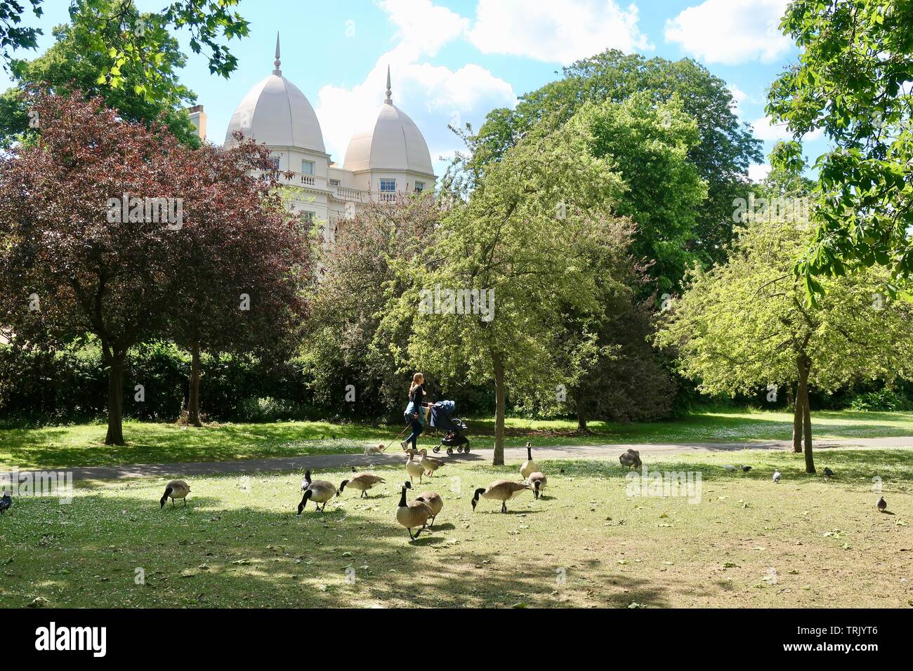 London, Großbritannien - 6. Juni 2019: schöner Nachmittag im Regents Park. Stockfoto