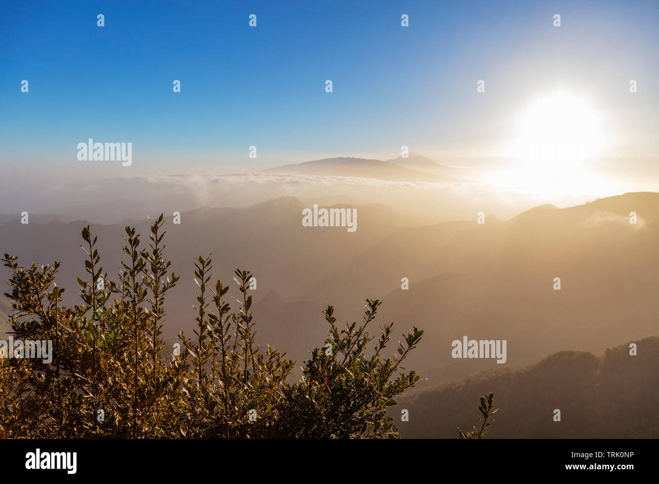 Europa, Spanien, Kanarische Inseln, Teneriffa, Teide Nationalpark, Pico del Teide (3718 m) der höchste Berg in Spanien Stockfoto