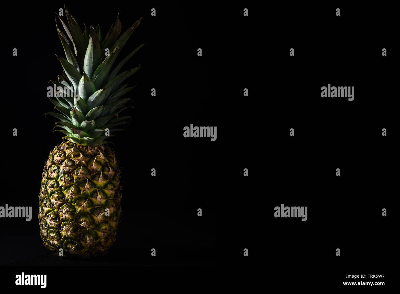 Eine frische Ananas auf einem dunklen schwarzen Hintergrund. Stockfoto