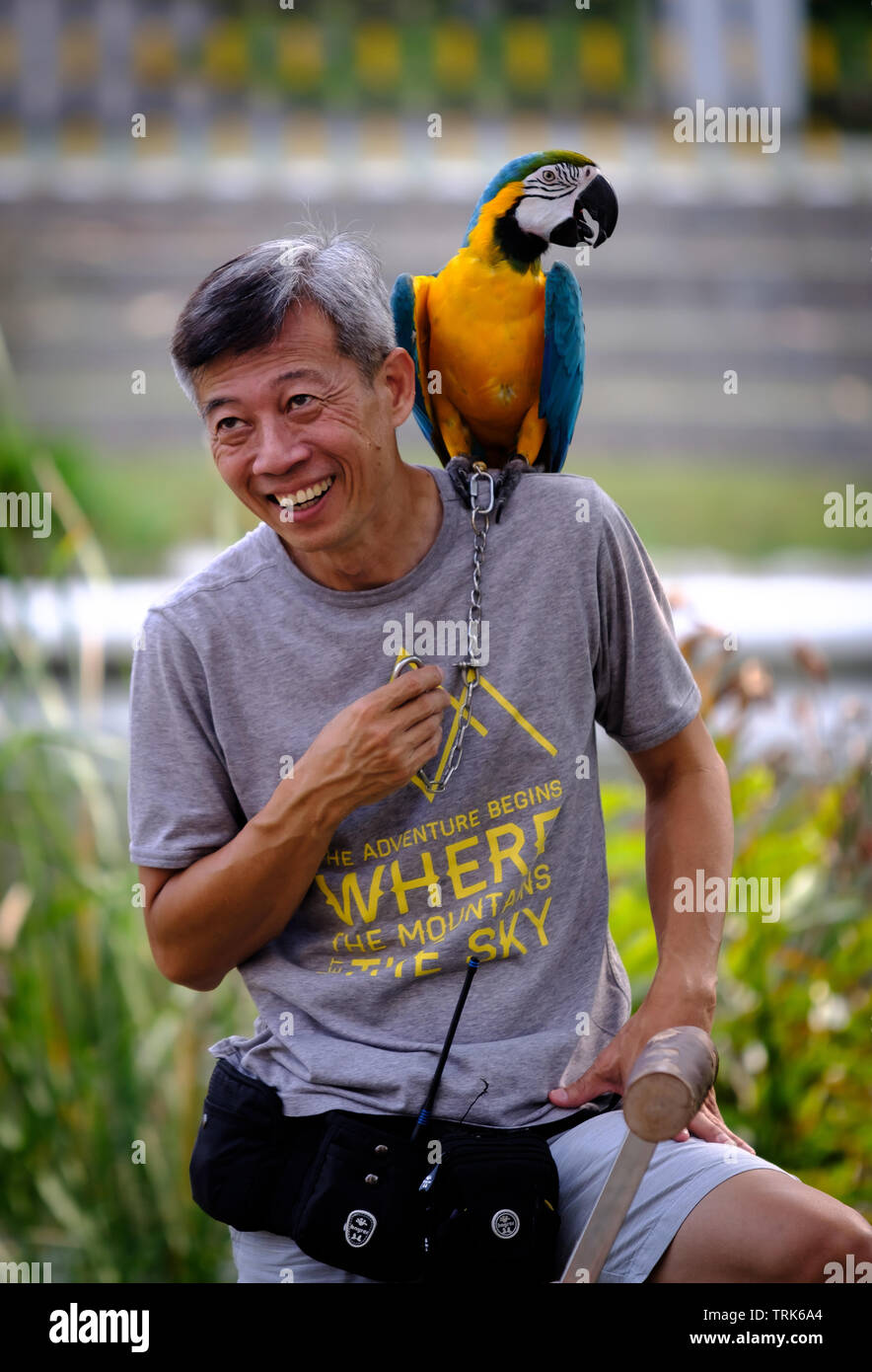 Singapur-23 MAR2019：Mann mit Papageien sitzen auf der Schulter im Wald Stockfoto