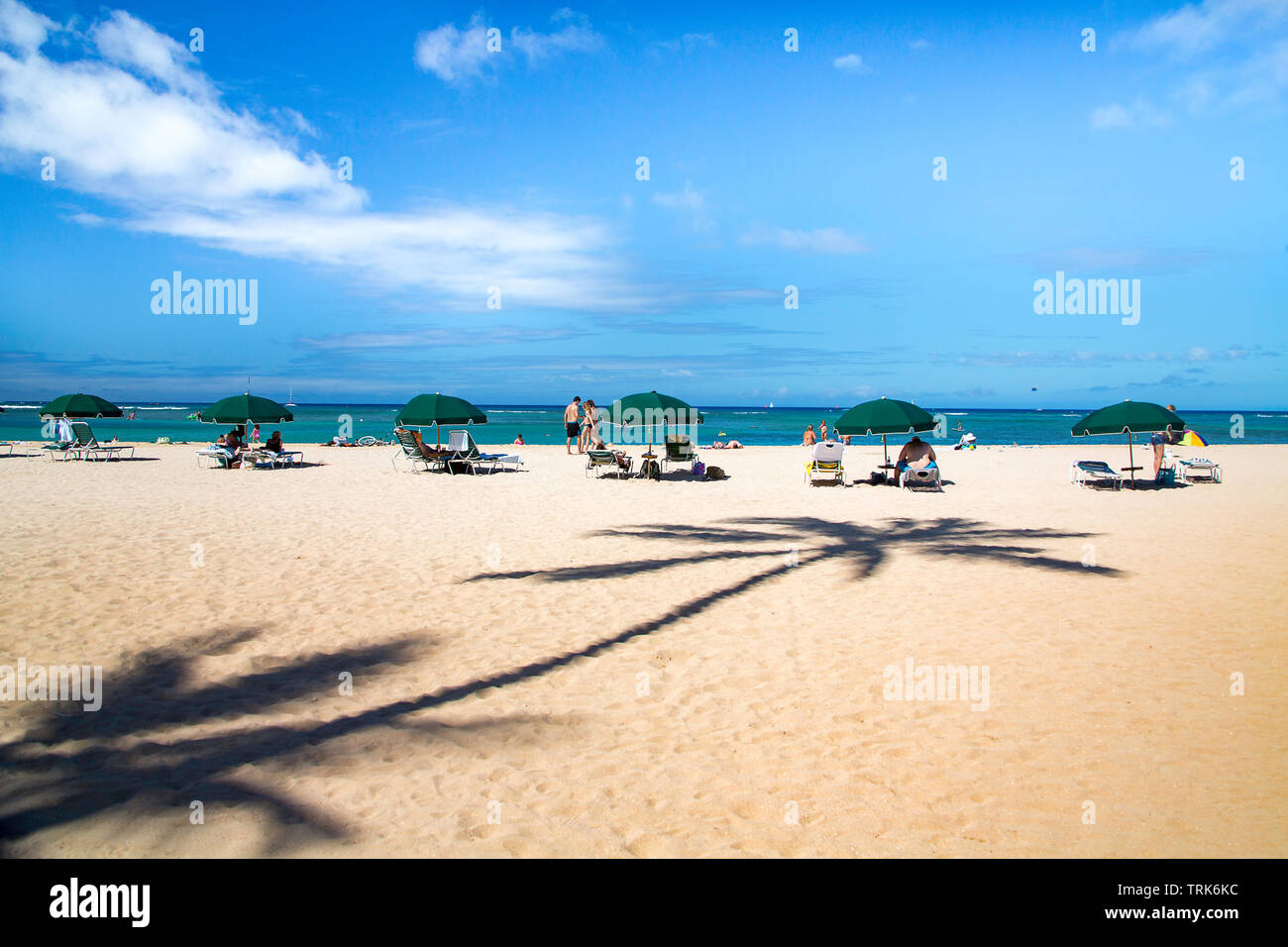 Sonnenschirme, Touristen und der Schatten einer Palme am Strand von Waikiki, Oahu, Hawaii. Stockfoto