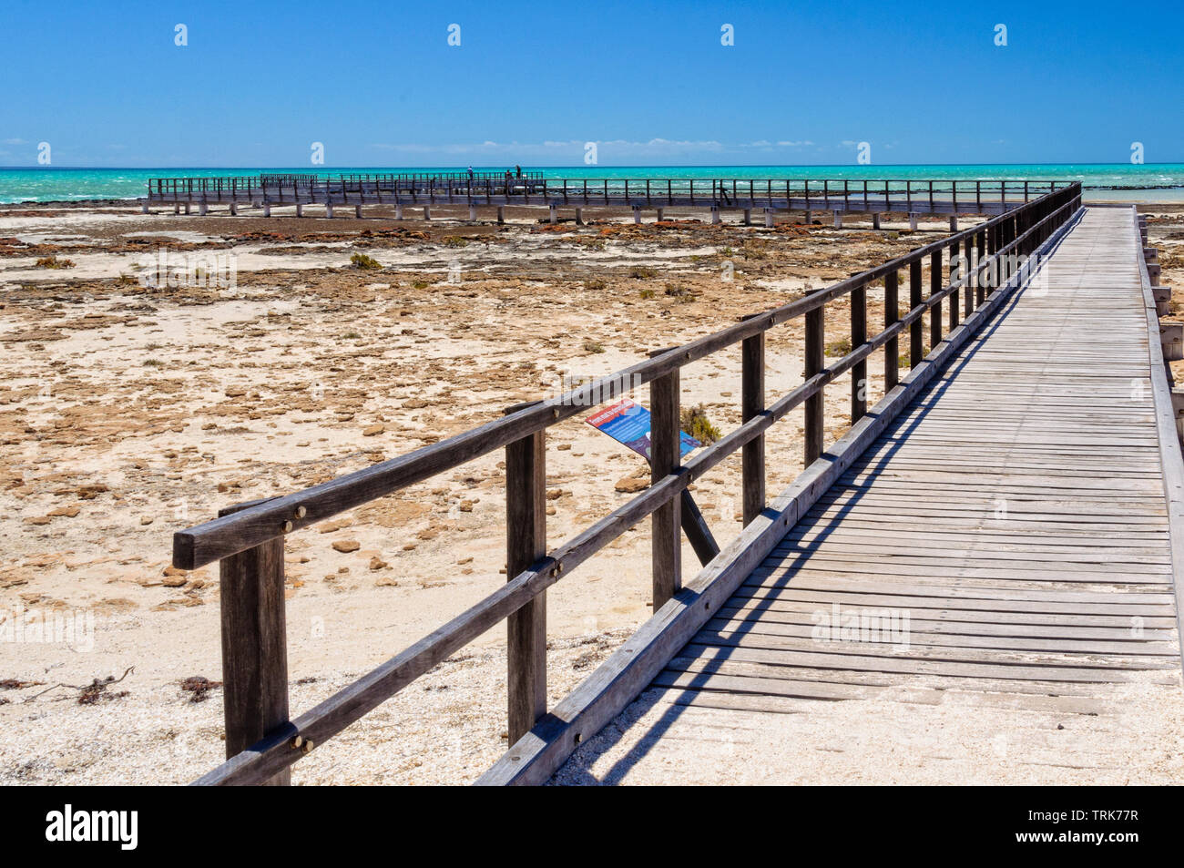 Boardwalk am Hamelin Pool marine Stromatolithen - Denham, WA, Australien Stockfoto