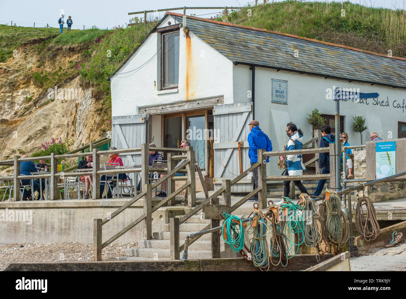 Die Yacht Halle Cafe am Strand von Lulworth Cove auf der Jurassic Coast in Dorset, England, UK. Stockfoto
