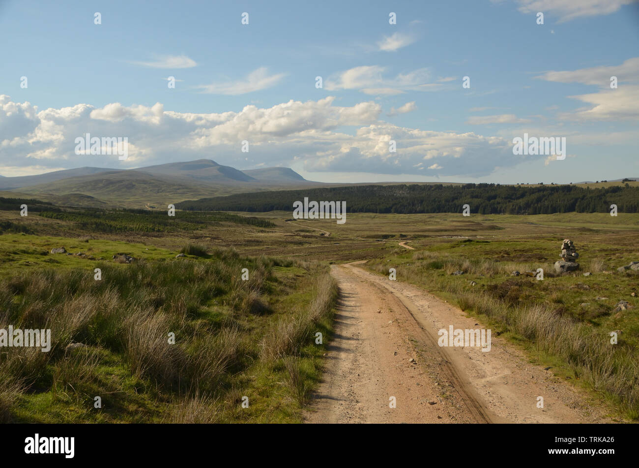 Die Auffahrt zum Ben Armine Lodge, Schottland Stockfoto