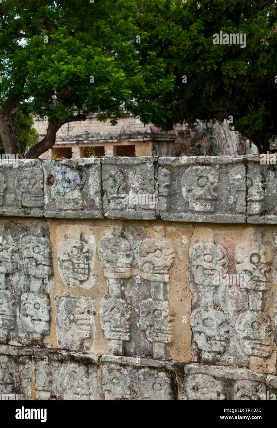 Plataforma Tzompantli. Yacimiento Arqueológico Maya de Chichén Itzá. Estado de Yucatán, Península de Yucatán, México, América Stockfoto