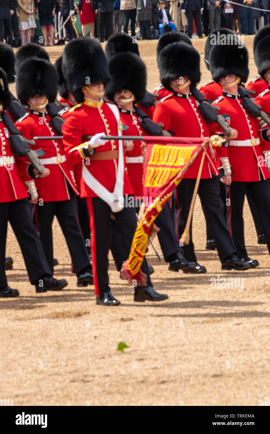 London, Großbritannien. 8. Juni 2019 die Farbe 2019, Geburtstag Parade der Königin auf horseguards Parade London in Anwesenheit Ihrer Majestät der Königin. Farbe TRABTEN durch die 1 Bataillon Grenadier Guards Credit Ian Davidson/Alamy leben Nachrichten Stockfoto