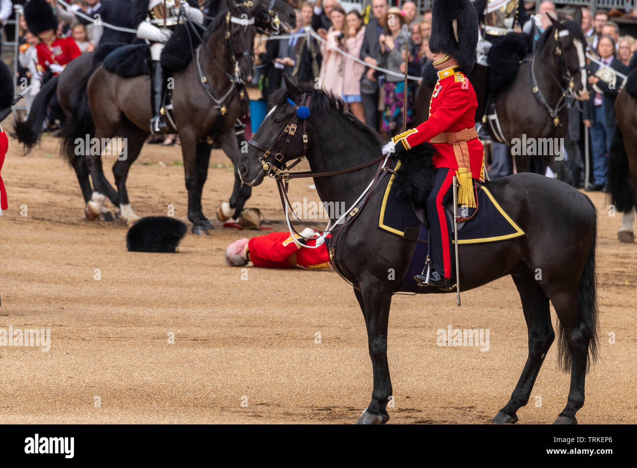 London, Großbritannien. 8. Juni 2019 die Farbe 2019, Geburtstag Parade der Königin auf horseguards Parade London in Anwesenheit Ihrer Majestät der Königin. Farbe TRABTEN durch die 1 Bataillon Grenadier Guards ein Wachen Offizier, Major Niall Hall, die Regimental Adjutant des Irish Guards, kam von seinem Pferd Credit Ian Davidson/Alamy leben Nachrichten Stockfoto