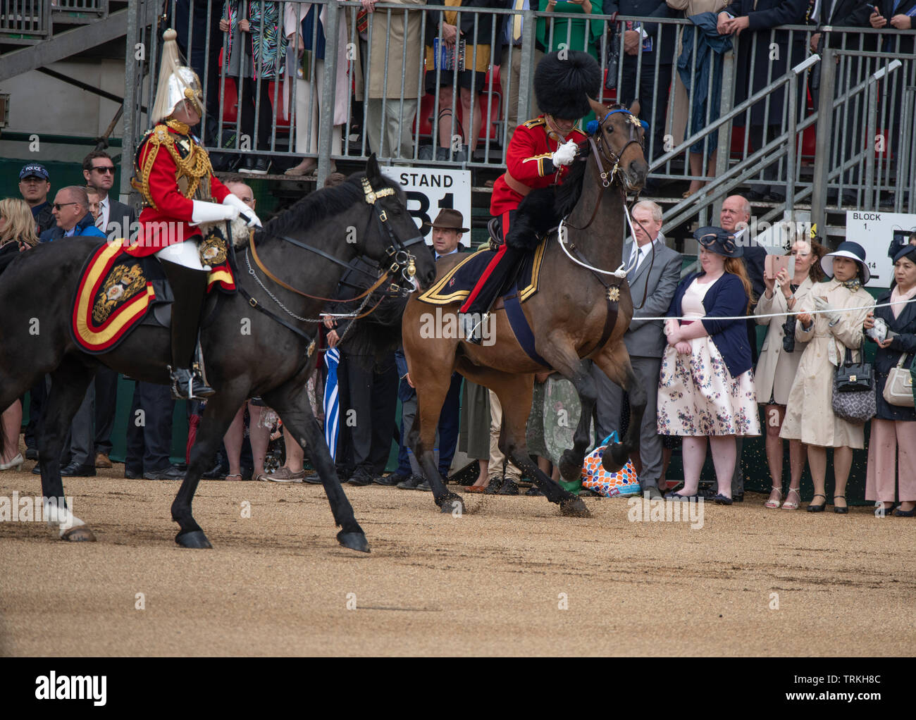 Horse Guards Parade, London, UK. 8. Juni 2019. Die Soldaten des 1.batallion Grenadier Guards Truppe ihre Farbe in Anwesenheit von der Königin am Geburtstag der Königin Parade. Mitglied der Königlichen Eskorte ist lose, wie das Pferd schrauben und ließ seine Bärenfellmütze Hut auf dem Exerzierplatz. Credit: Malcolm Park/Alamy Leben Nachrichten. Stockfoto