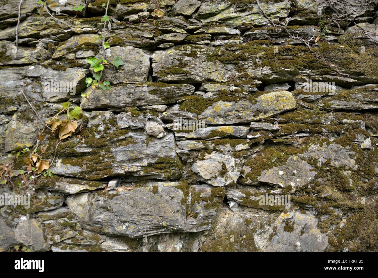 Verwitterte alte Steinmauer Hintergrund Green Moss Stockfoto