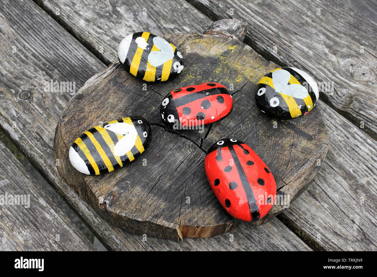 Felsen gemalt mit Marienkäfer und Bumble Bee Designs - Ynys Hir RSPB Reservat, Wales Stockfoto