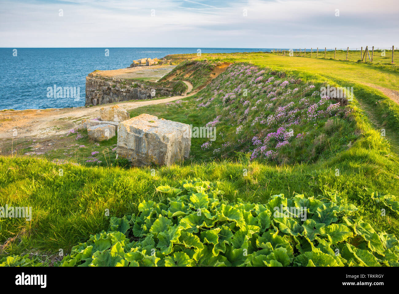 Steinblöcke aus einem stillgelegten Steinbruch bei Portland Bill auf der Isle of Portland, Jurassic Küste von Dorset, England, UK. Stockfoto