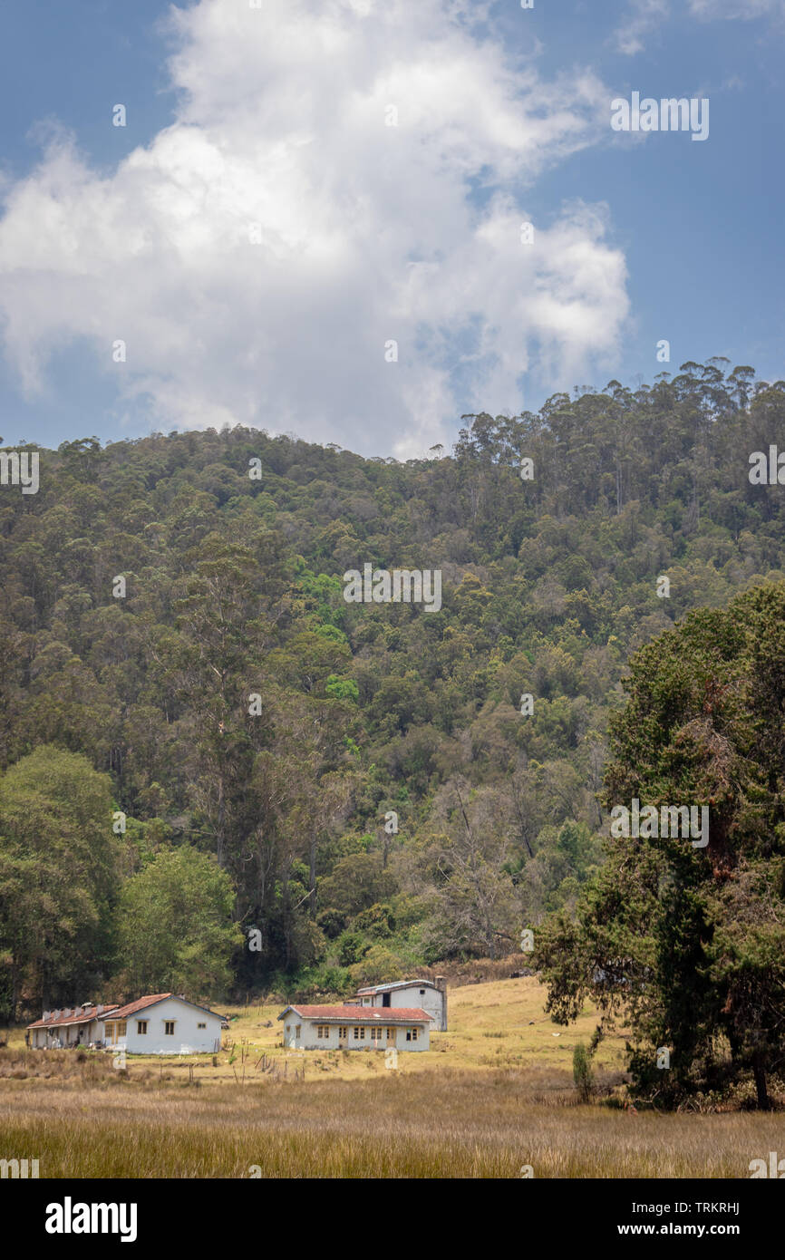 Isolierte Wohnungen im Wald Bild wird in Kodaikanal, die die Natur des Menschen berücksichtigt. Stockfoto