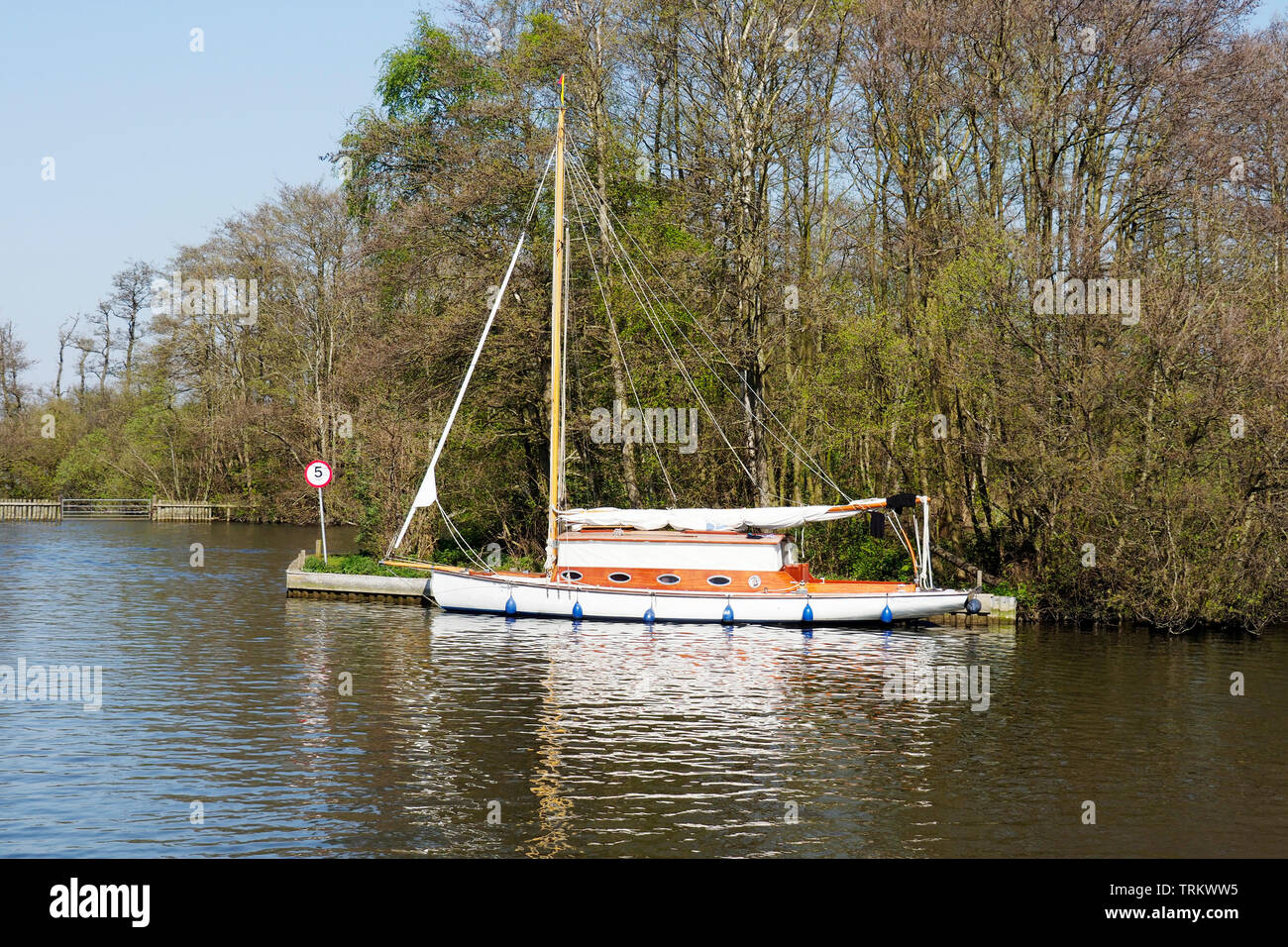 Die traditionell mit Holz Broads segeln Cruiser an Salhouse Broad, Norfolk vertäut. Stockfoto