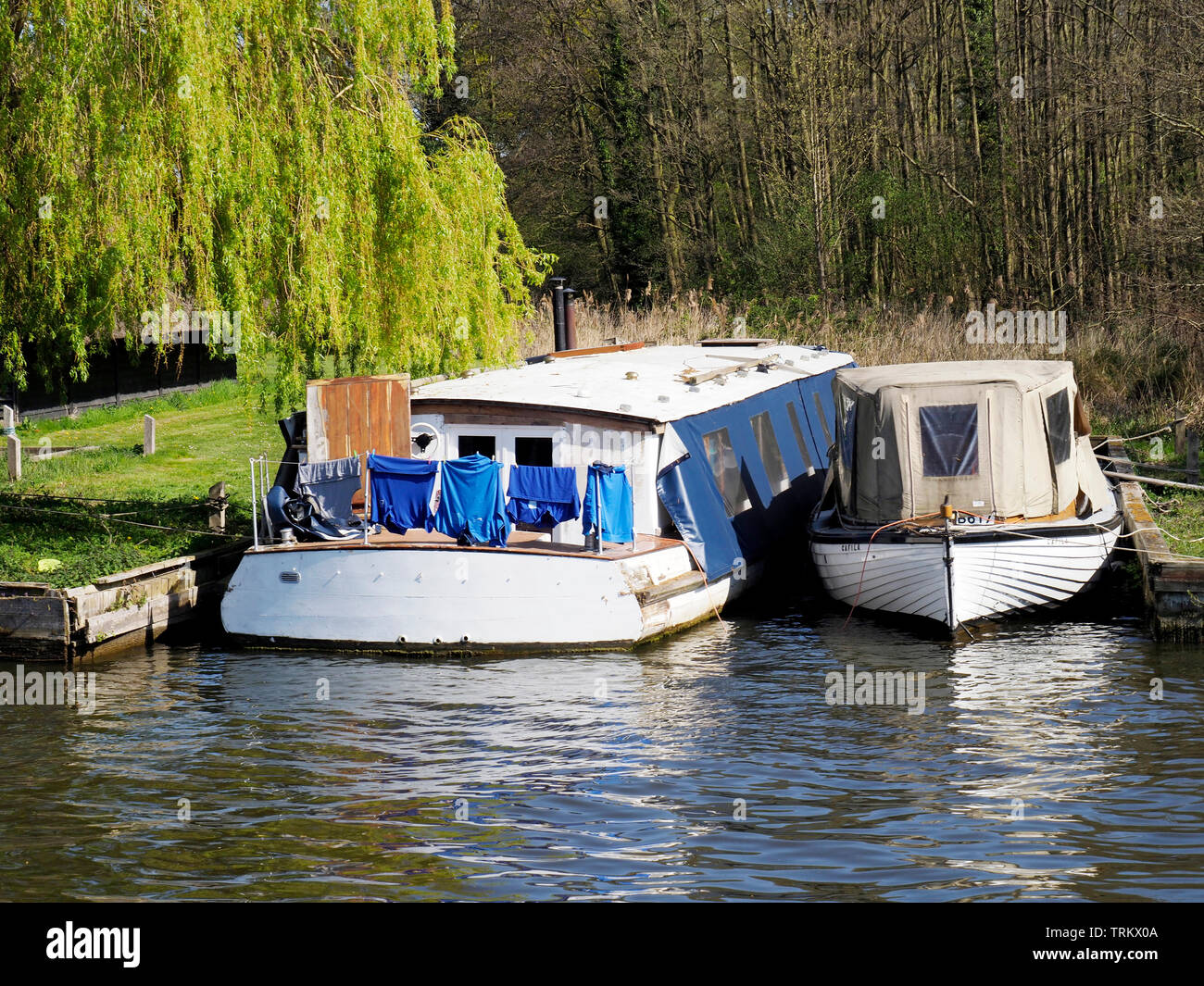 Alter motor Cruisers werden manchmal als Hausboote, oft in ruhigen schneidet die Main günstig wie hier in der Nähe von Wroxham auf dem Fluss Bure verwendet Stockfoto