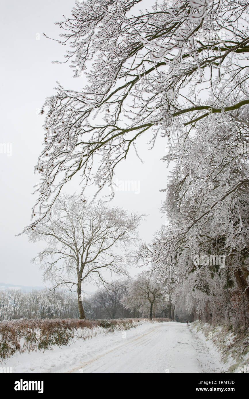 Schnee bedeckten Straßen und Felder in Somerset während der "Tier aus dem Osten' sturm März 2018 zeigt die Wirkung von Regen auf Hecken und Bäumen Stockfoto