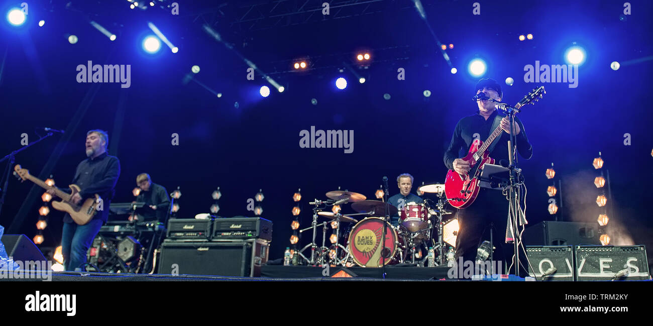 Glasgow, Schottland, Großbritannien. 8. Juni 2019. Tauben live spielen zum ersten Mal in 9 Jahren in Glasgow, UK. Credit: Stuart Westwood Stockfoto