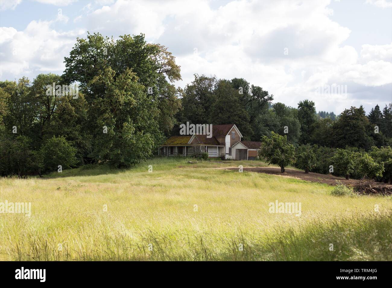 Eine alte verlassene Haus bei Dorris Ranch in Springfield, Massachusetts, USA. Stockfoto