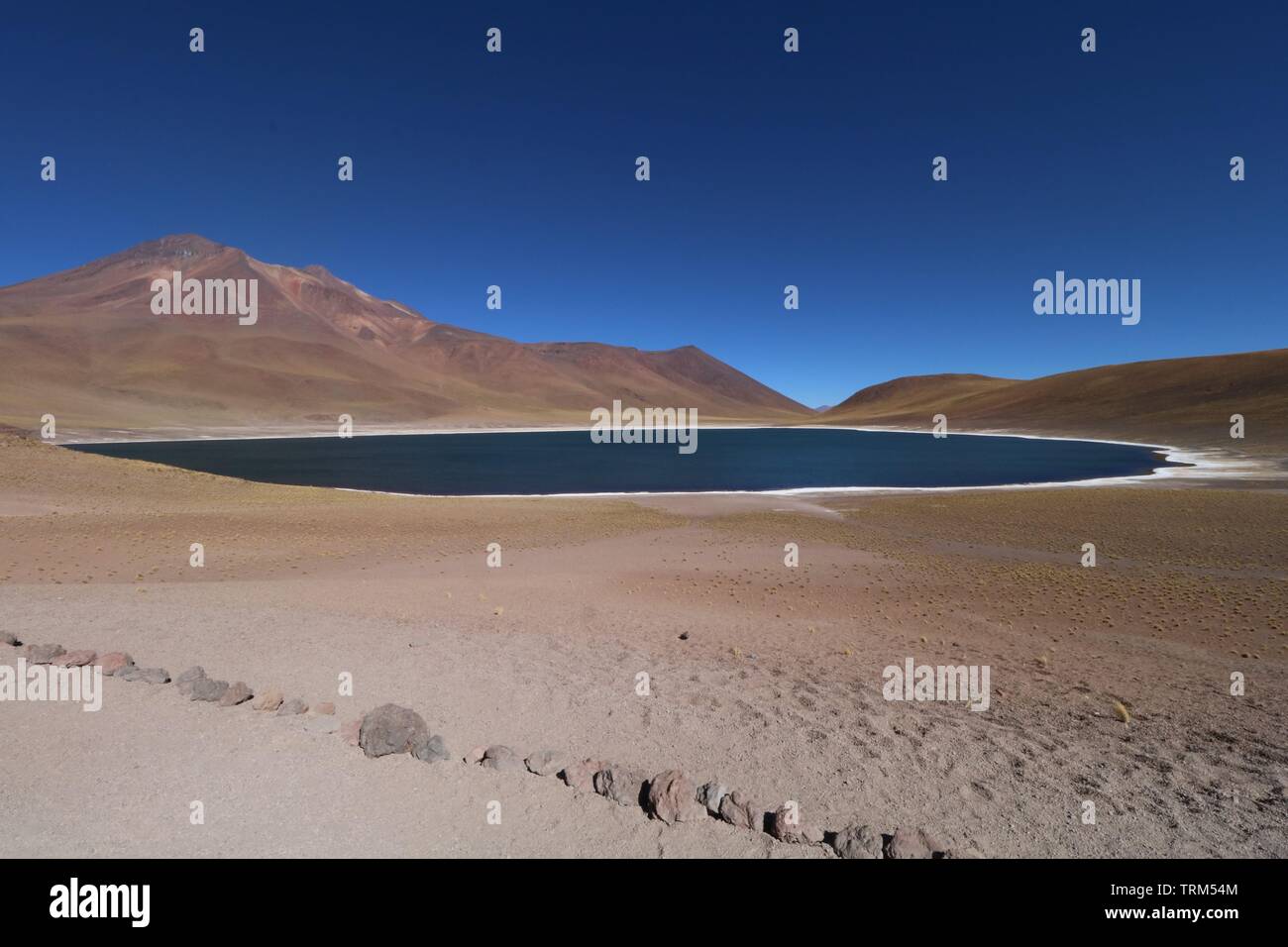 Foto das lagunas Altiplanicas - Laguna Miscanti - Laguna Miniques - Atacama Wüste - Deserto tun Atacama - Chile - Mochilao - Amerika do Sul - Rucksack Stockfoto