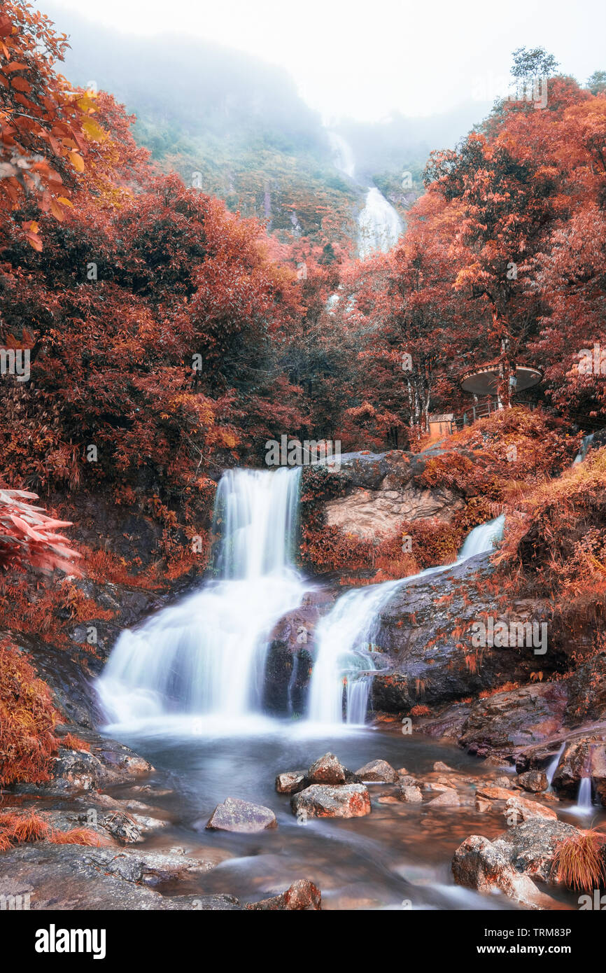 Silber oder Thac Bac Wasserfall auf Nebel im Herbst Saison Stockfoto