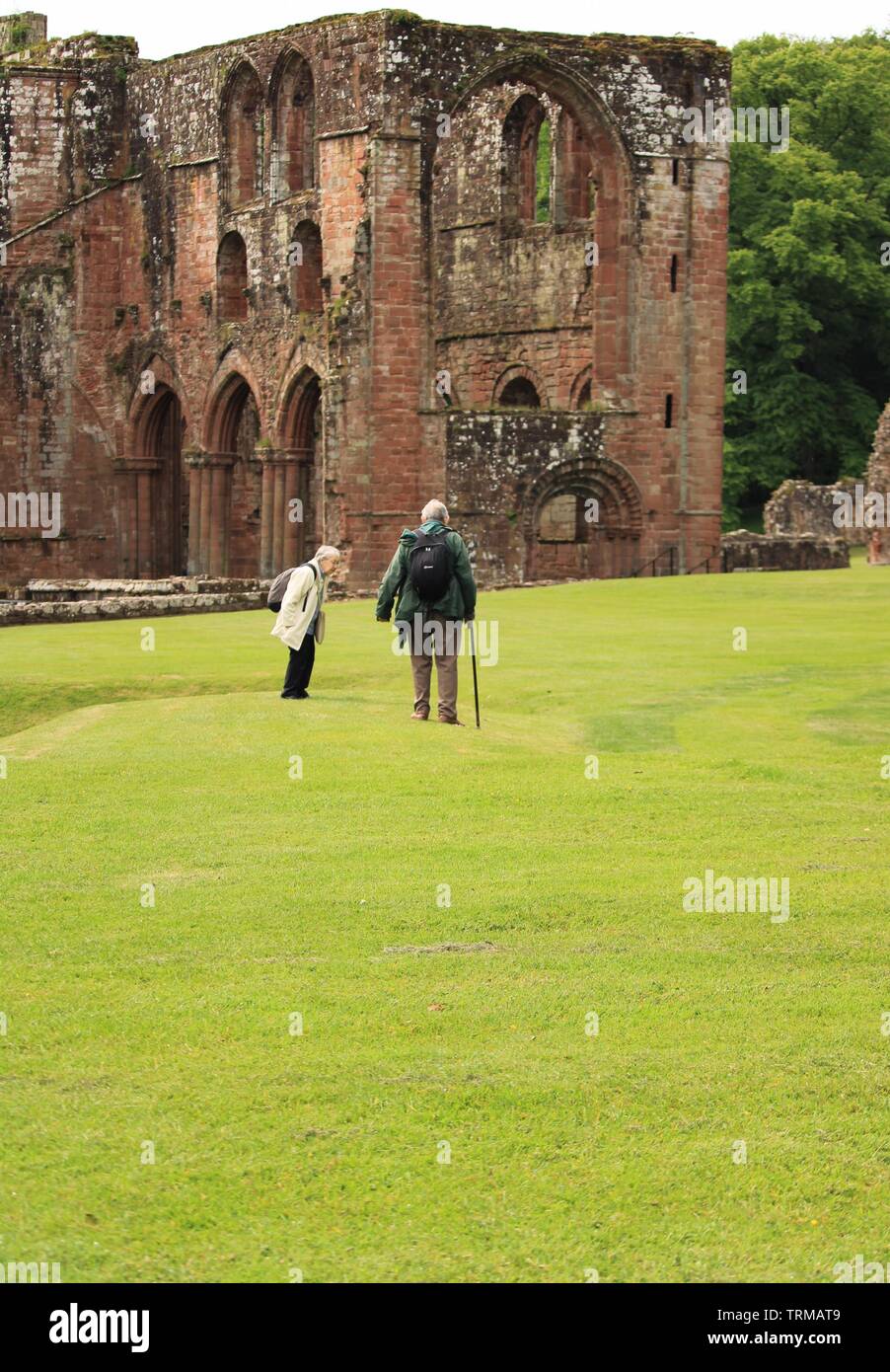 UK Barrow In Furness, Cumbria. Furness Abbey. Ulverston, Cumbria, Halbinsel Furness Abbey Ruinen, Furness Abbey, Cumbria. Stockfoto