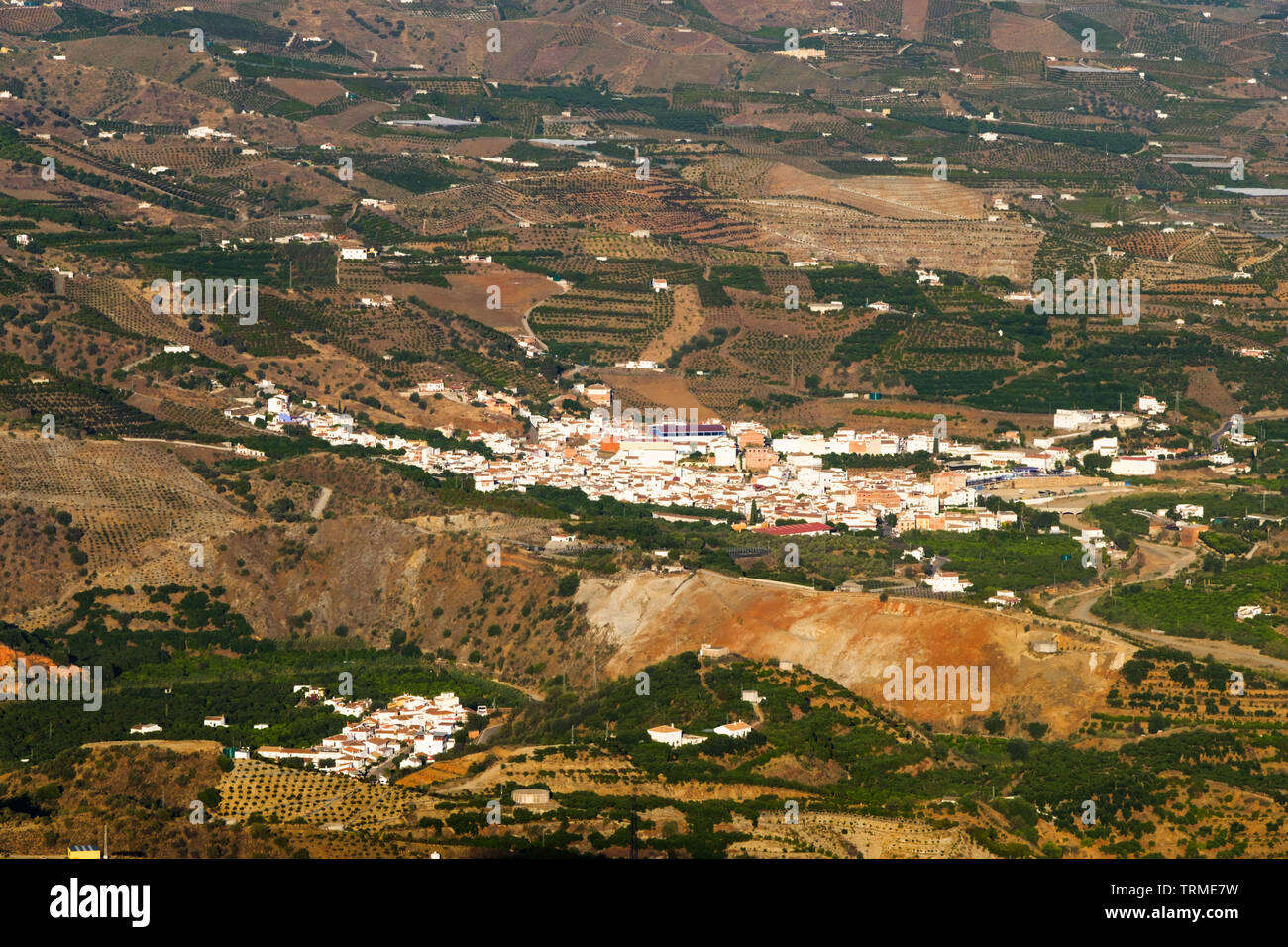 Foto de Larios en Benamargosa, Málaga