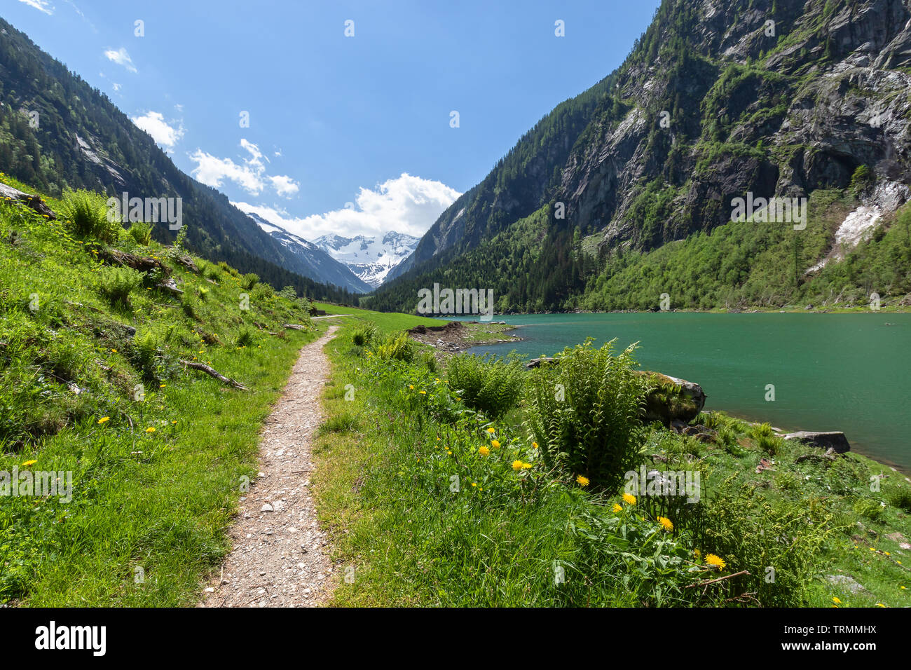 Pfad durch Spring Mountains Landschaft in der Nähe von Alpine Lake. Stillup Stillup, See, Österreich, Tirol Stockfoto