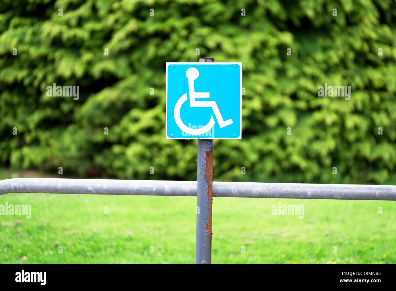 Behinderte Rollstuhl blau Badgeholder Schild am Parkplatz Stockfoto